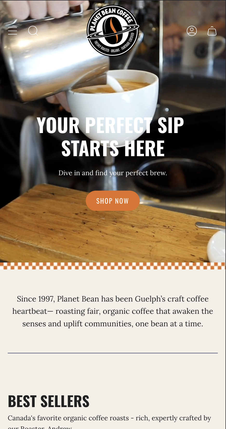 Shopify Store Preview