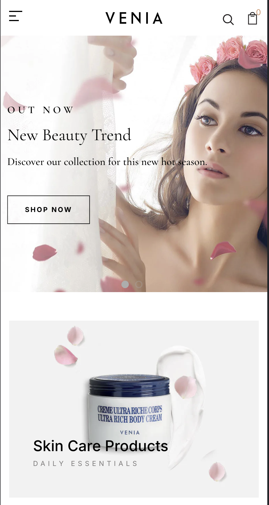 Shopify Store Preview