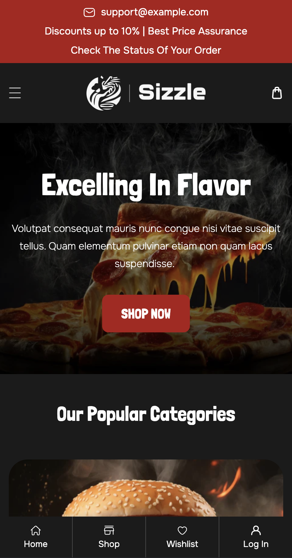 Shopify Store Preview