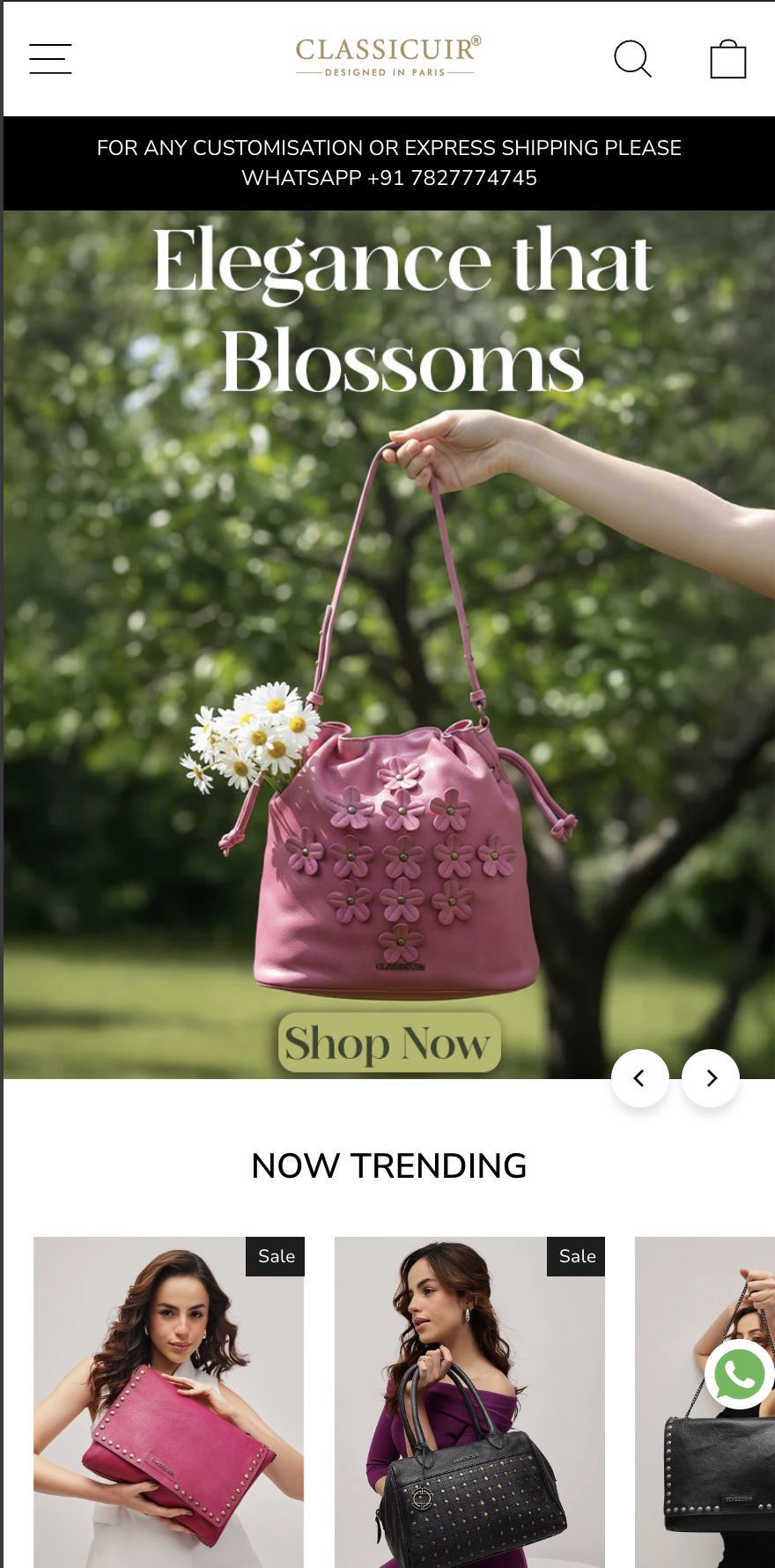 Shopify Store Preview